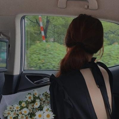 大荷花小荷花